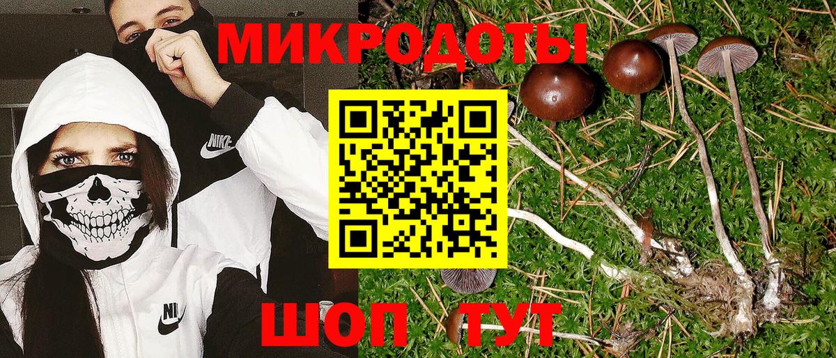 Орёл  Галлюциногенные грибы прущие грибы  Вход с VPN  Псилоцибиновые грибы ЛСД 
