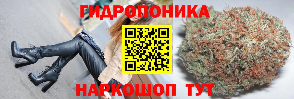 Бошки марихуана Amnesia Орёл